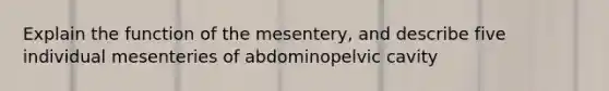 Explain the function of the mesentery, and describe five individual mesenteries of abdominopelvic cavity