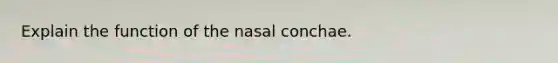 Explain the function of the nasal conchae.