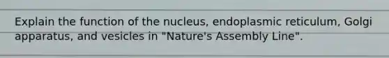 Explain the function of the nucleus, endoplasmic reticulum, Golgi apparatus, and vesicles in "Nature's Assembly Line".