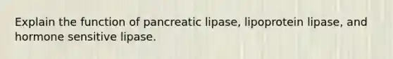 Explain the function of pancreatic lipase, lipoprotein lipase, and hormone sensitive lipase.