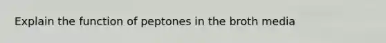 Explain the function of peptones in the broth media