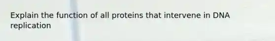 Explain the function of all proteins that intervene in <a href='https://www.questionai.com/knowledge/kofV2VQU2J-dna-replication' class='anchor-knowledge'>dna replication</a>