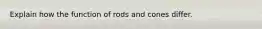 Explain how the function of rods and cones differ.