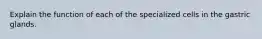 Explain the function of each of the specialized cells in the gastric glands.