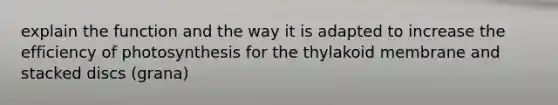 explain the function and the way it is adapted to increase the efficiency of photosynthesis for the thylakoid membrane and stacked discs (grana)