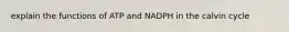 explain the functions of ATP and NADPH in the calvin cycle