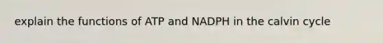 explain the functions of ATP and NADPH in the calvin cycle