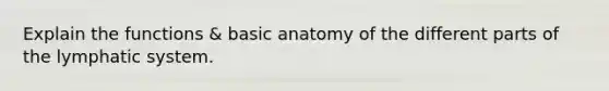 Explain the functions & basic anatomy of the different parts of the lymphatic system.