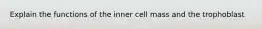 Explain the functions of the inner cell mass and the trophoblast