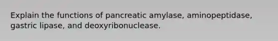 Explain the functions of pancreatic amylase, aminopeptidase, gastric lipase, and deoxyribonuclease.