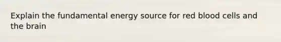 Explain the fundamental energy source for red blood cells and the brain