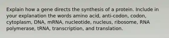 Explain how a gene directs the synthesis of a protein. Include in your explanation the words amino acid, anti-codon, codon, cytoplasm, DNA, mRNA, nucleotide, nucleus, ribosome, RNA polymerase, tRNA, transcription, and translation.