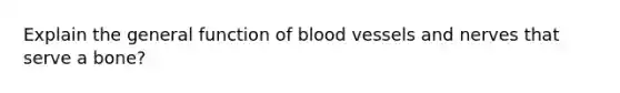 Explain the general function of blood vessels and nerves that serve a bone?