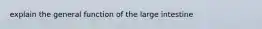 explain the general function of the large intestine