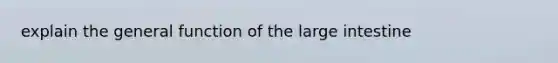 explain the general function of the large intestine