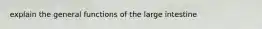 explain the general functions of the large intestine