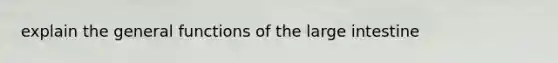 explain the general functions of the large intestine