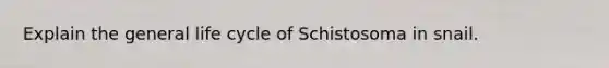 Explain the general life cycle of Schistosoma in snail.