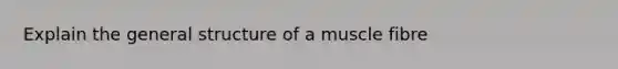 Explain the general structure of a muscle fibre