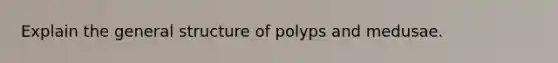 Explain the general structure of polyps and medusae.