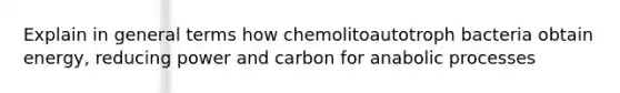 Explain in general terms how chemolitoautotroph bacteria obtain energy, reducing power and carbon for anabolic processes