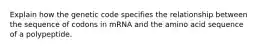 Explain how the genetic code specifies the relationship between the sequence of codons in mRNA and the amino acid sequence of a polypeptide.