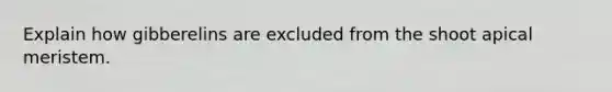 Explain how gibberelins are excluded from the shoot apical meristem.