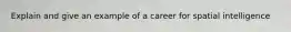 Explain and give an example of a career for spatial intelligence