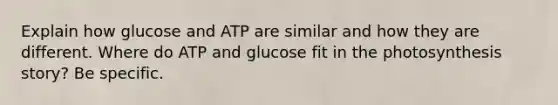 Explain how glucose and ATP are similar and how they are different. Where do ATP and glucose fit in the photosynthesis story? Be specific.