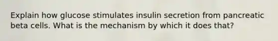 Explain how glucose stimulates insulin secretion from pancreatic beta cells. What is the mechanism by which it does that?