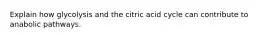 Explain how glycolysis and the citric acid cycle can contribute to anabolic pathways.