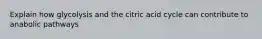 Explain how glycolysis and the citric acid cycle can contribute to anabolic pathways