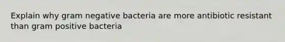 Explain why gram negative bacteria are more antibiotic resistant than gram positive bacteria