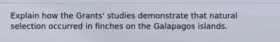 Explain how the Grants' studies demonstrate that natural selection occurred in finches on the Galapagos islands.