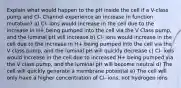 Explain what would happen to the pH inside the cell if a V-class pump and Cl- Channel experience an increase in function mutation? a) Cl- ions would increase in the cell due to the increase in H+ being pumped into the cell via the V Class pump, and the luminal pH will increase b) Cl- ions would increase in the cell due to the increase in H+ being pumped into the cell via the V class pump, and the luminal pH will quickly decrease c) Cl- ions would increase in the cell due to increased H+ being pumped via the V class pump, and the luminal pH will become neutral d) The cell will quickly generate a membrane potential e) The cell will only have a higher concentration of Cl- ions, not hydrogen ions