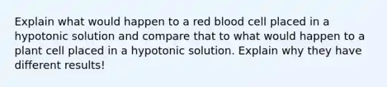 Explain what would happen to a red blood cell placed in a hypotonic solution and compare that to what would happen to a plant cell placed in a hypotonic solution. Explain why they have different results!