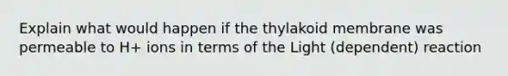 Explain what would happen if the thylakoid membrane was permeable to H+ ions in terms of the Light (dependent) reaction