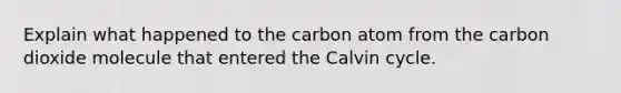 Explain what happened to the carbon atom from the carbon dioxide molecule that entered the Calvin cycle.