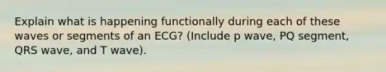Explain what is happening functionally during each of these waves or segments of an ECG? (Include p wave, PQ segment, QRS wave, and T wave).