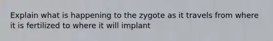 Explain what is happening to the zygote as it travels from where it is fertilized to where it will implant