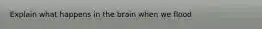 Explain what happens in the brain when we flood