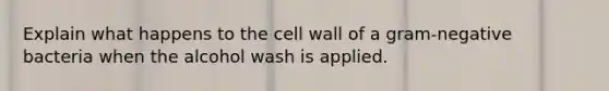 Explain what happens to the cell wall of a gram-negative bacteria when the alcohol wash is applied.