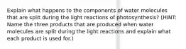 Explain what happens to the components of water molecules that are split during the light reactions of photosynthesis? (HINT: Name the three products that are produced when water molecules are split during the light reactions and explain what each product is used for.)