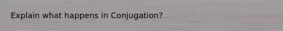 Explain what happens in Conjugation?