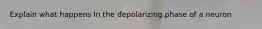 Explain what happens In the depolarizing phase of a neuron