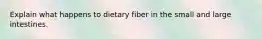 Explain what happens to dietary fiber in the small and large intestines.