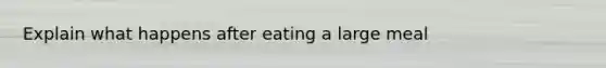 Explain what happens after eating a large meal