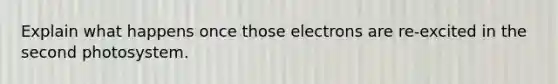 Explain what happens once those electrons are re-excited in the second photosystem.