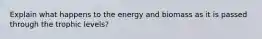 Explain what happens to the energy and biomass as it is passed through the trophic levels?