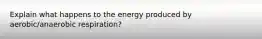 Explain what happens to the energy produced by aerobic/anaerobic respiration?